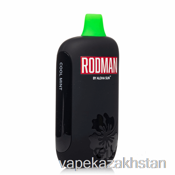 Vape Disposable RODMAN 9100 Disposable Cool Mint